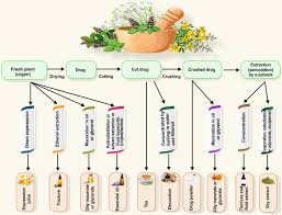 herbal